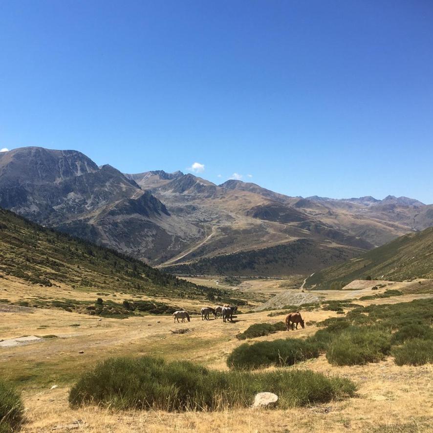 Maison Bon Ton Paraza Dış mekan fotoğraf