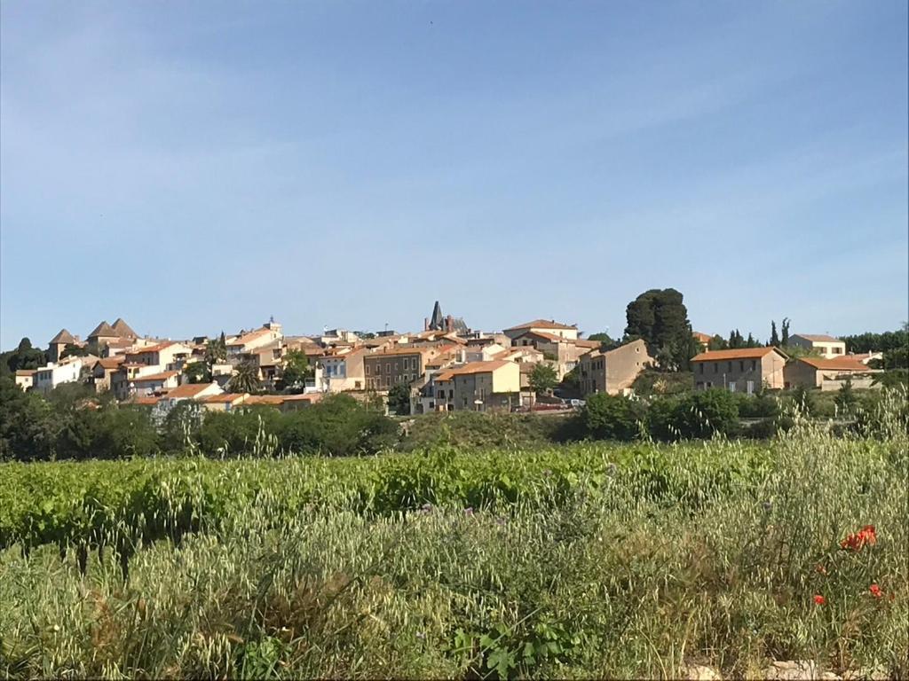 Maison Bon Ton Paraza Dış mekan fotoğraf